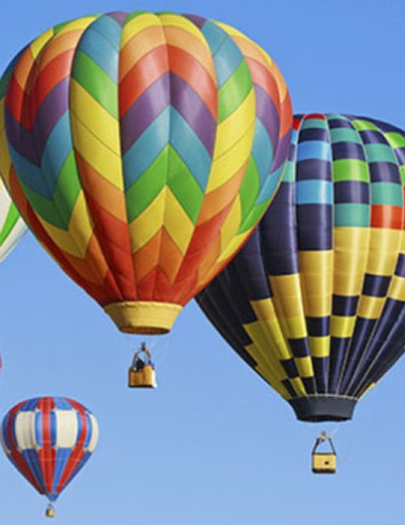 Robin A. Vansteenburg Profile Photo