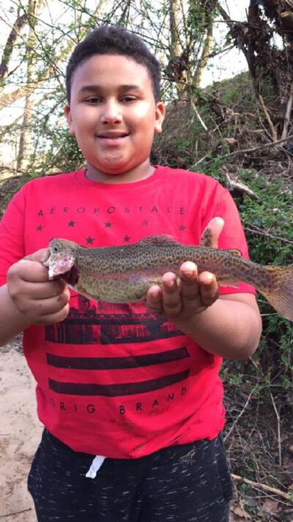 Brayden Jaise Frommel