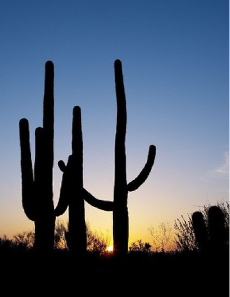 Donald Ray Harrell Profile Photo