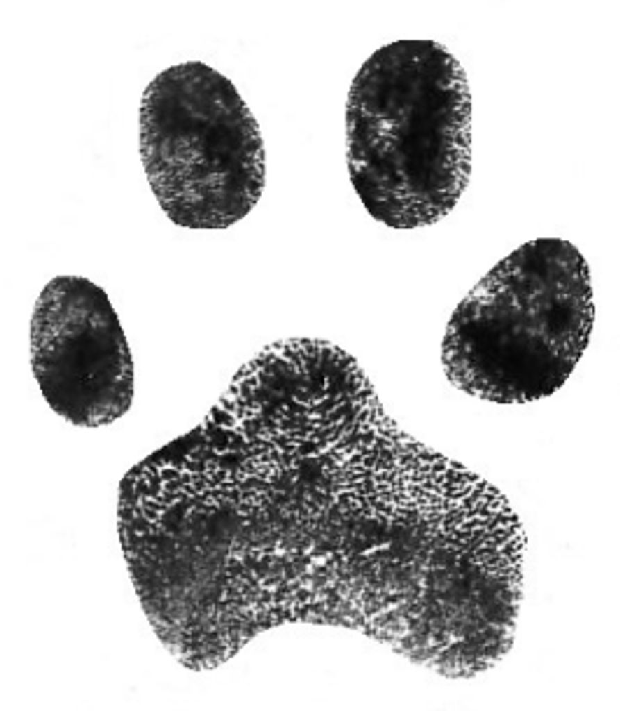 Nalla Barstow