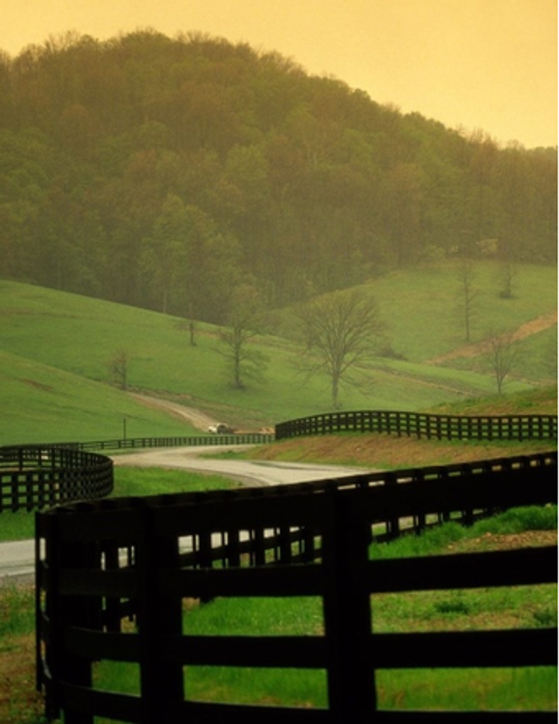 Douglas Herndon Tidwell, Jr.