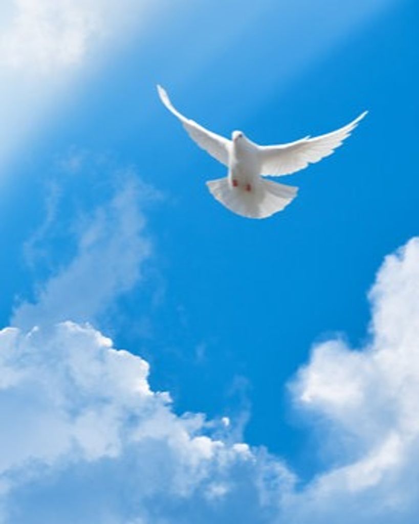 Anita Tubb Ricketts Profile Photo