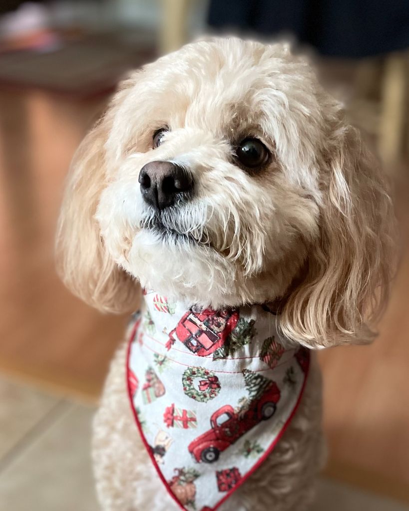 Button Suddreth Profile Photo