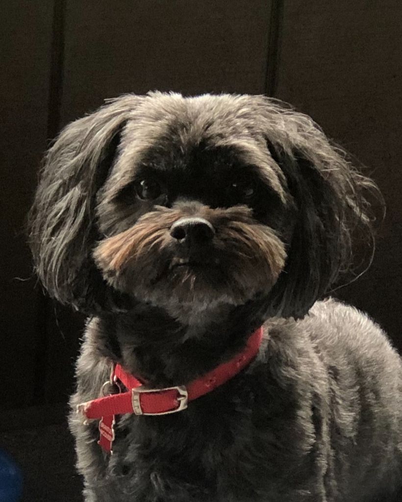 Brantley McQueen Profile Photo