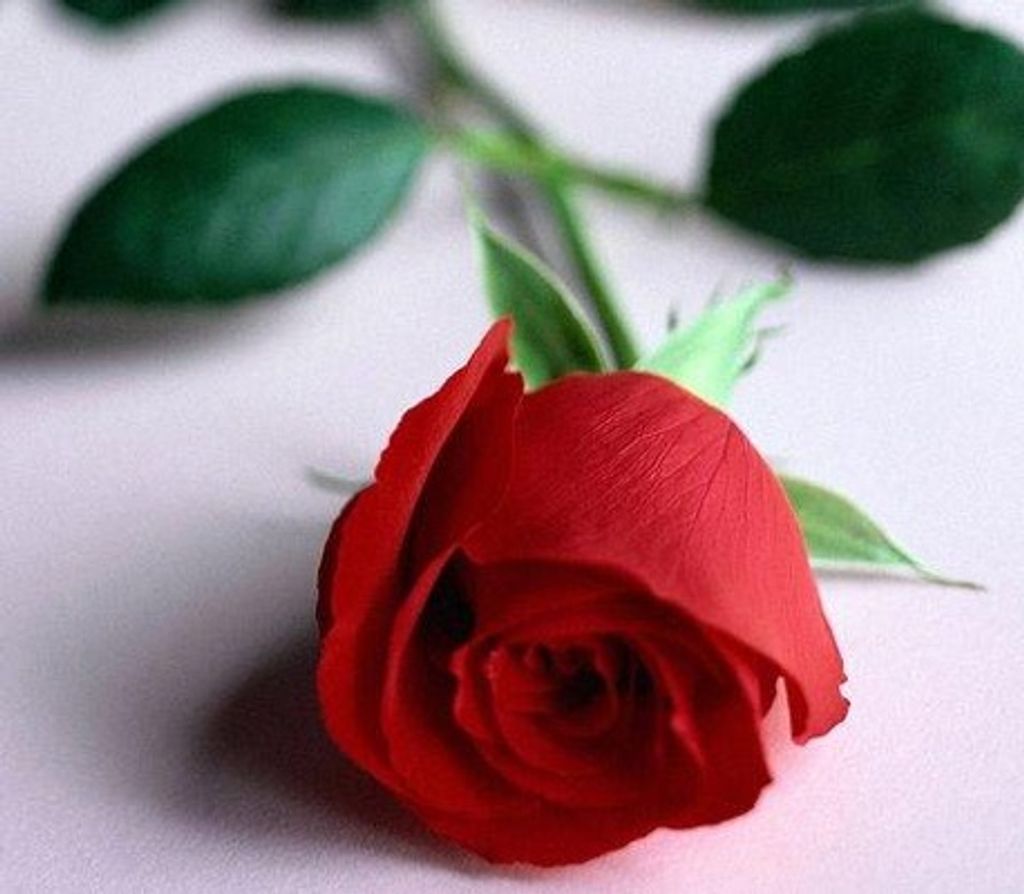 Richard E. Tarasiewicz