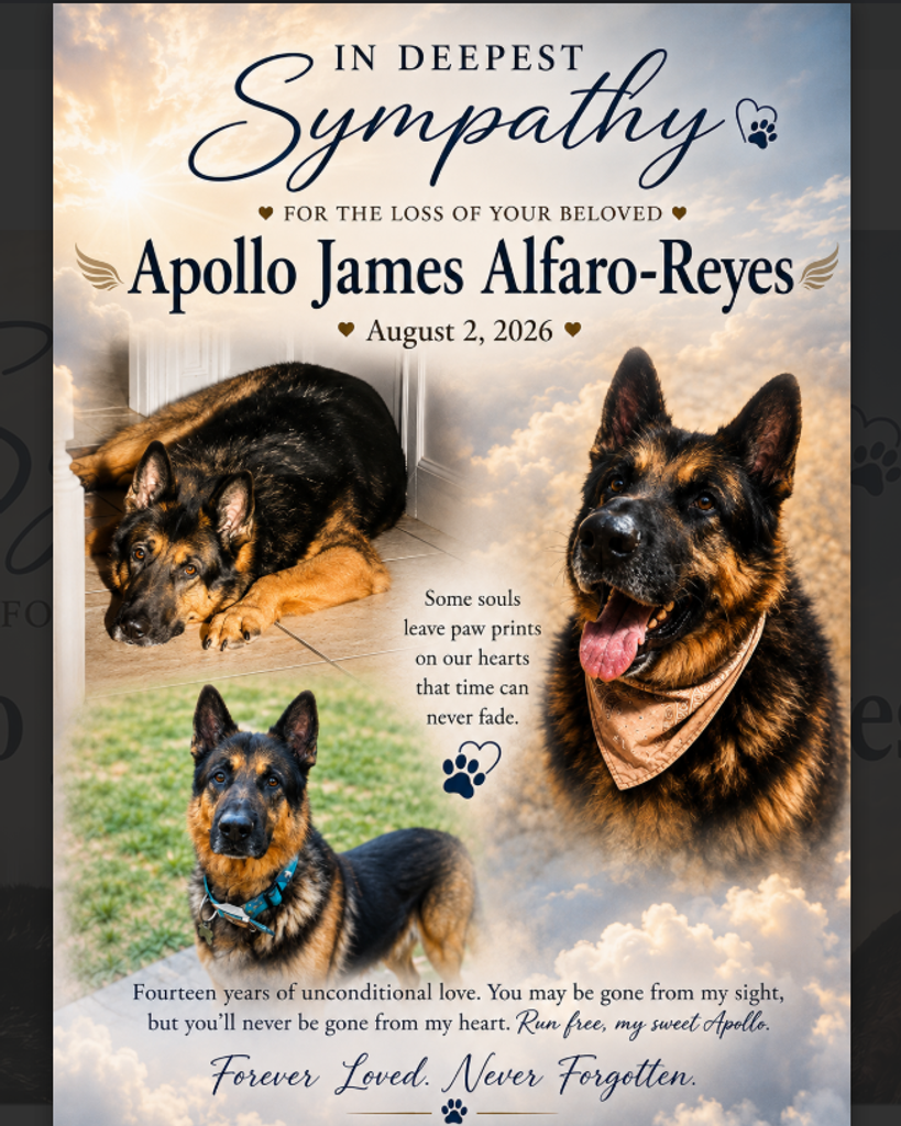 Apollo James Alfaro-Reyes Profile Photo
