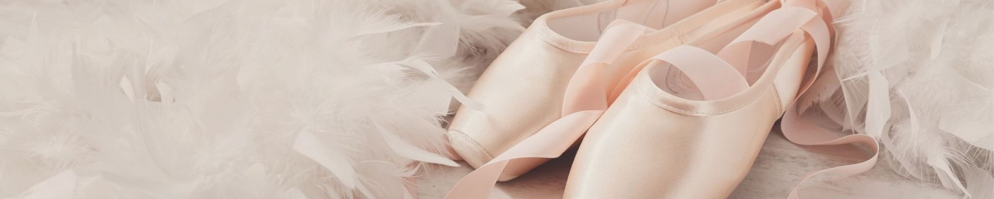 Cover for Mary Ann Hamilton's Obituary