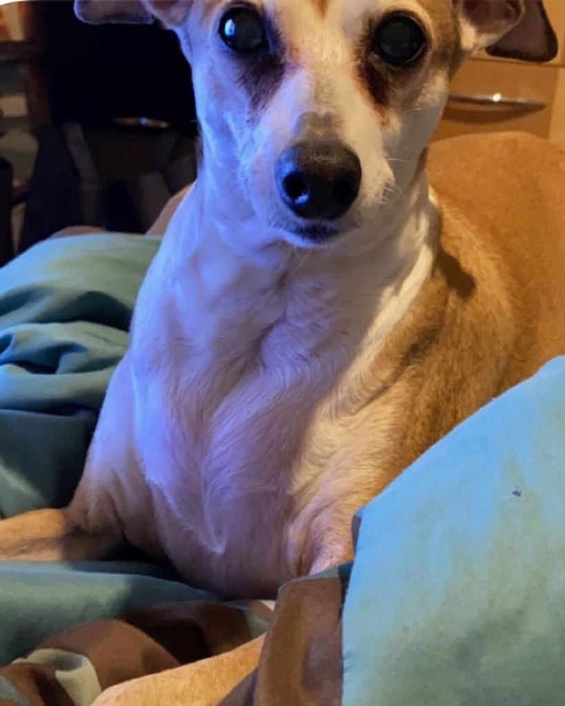 Chief Profile Photo