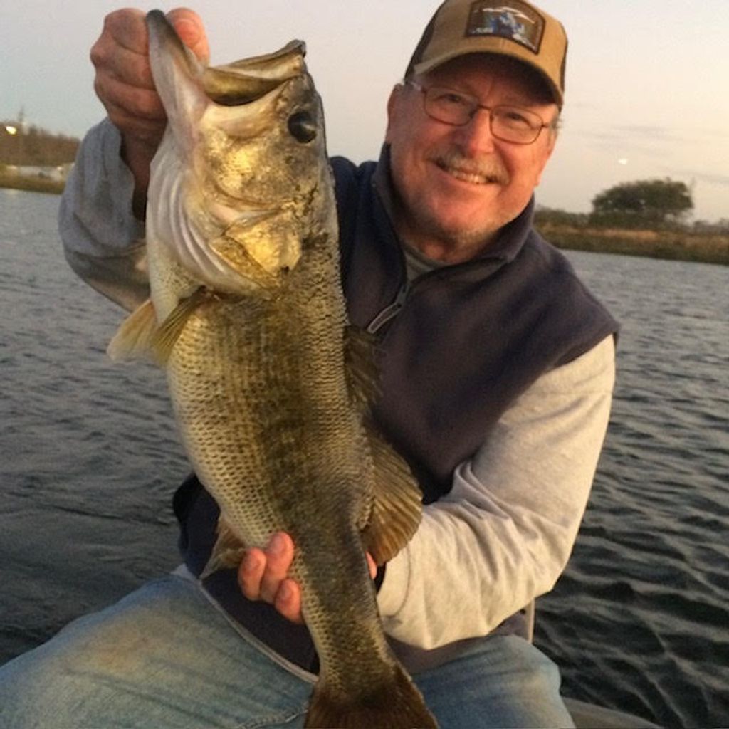 Stephen Ray Mitchell Profile Photo