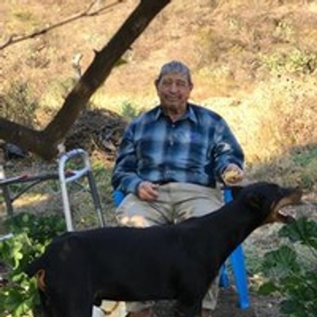 Valente Rosas-Negrete