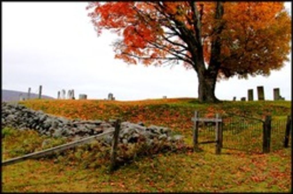 Margaret Peg Carpenter