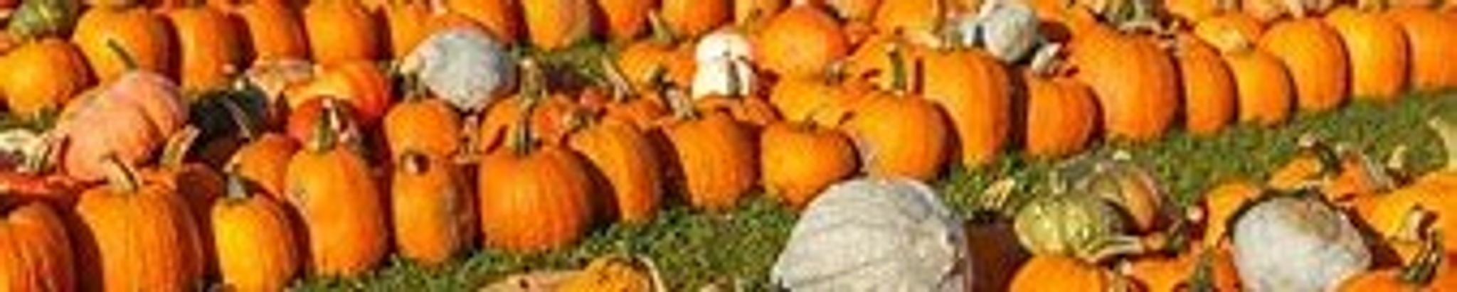 Cover for Sherry Causey Baker's Obituary