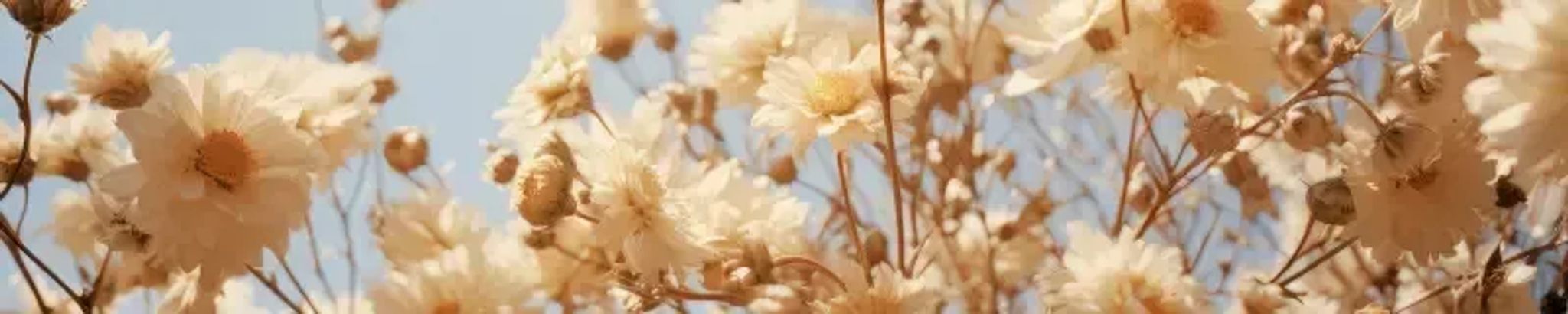 Cover for Mary Rot's Obituary