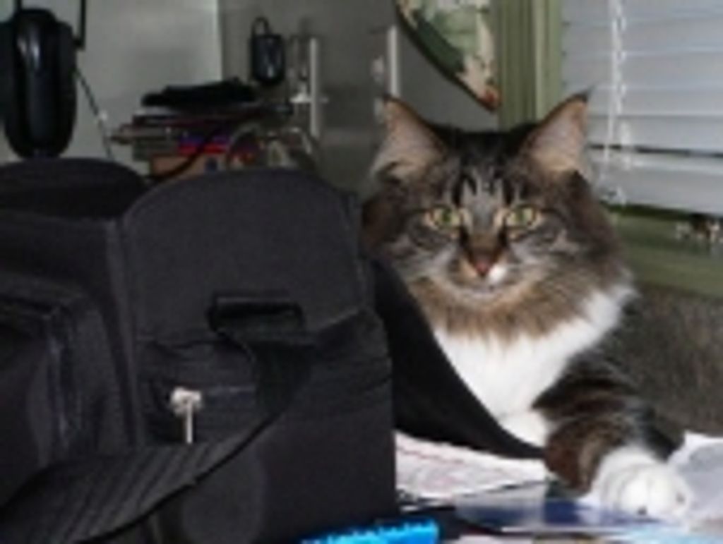 Zoey Bourdon Profile Photo