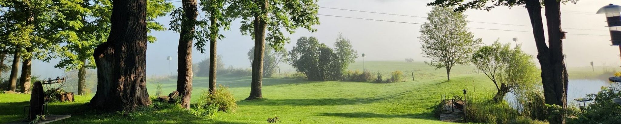 Cover photo for Marie Frances Dvorak's Obituary