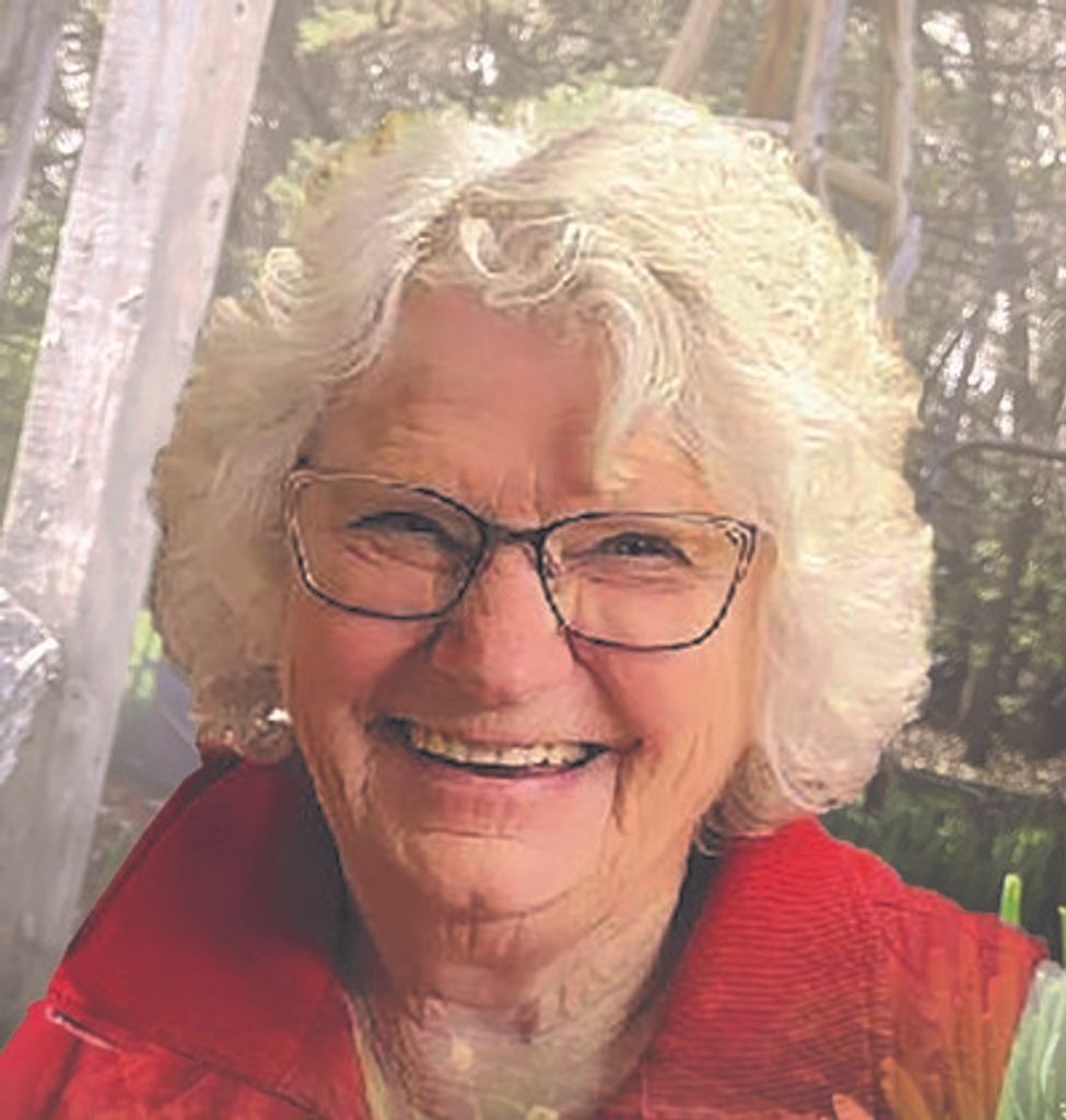 Donna Lien Profile Photo