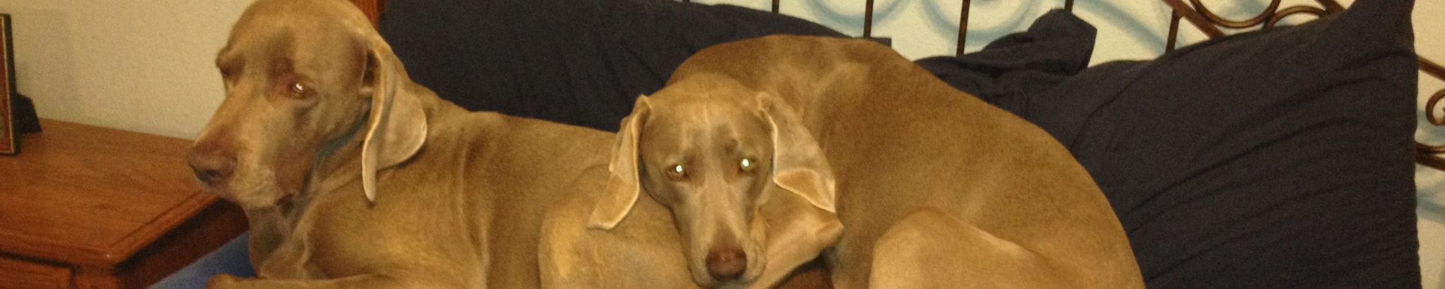 Cover for George Donald Schultz Jr.'s Obituary