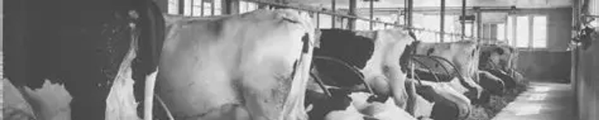 Cover for Claude Howard Culp's Obituary