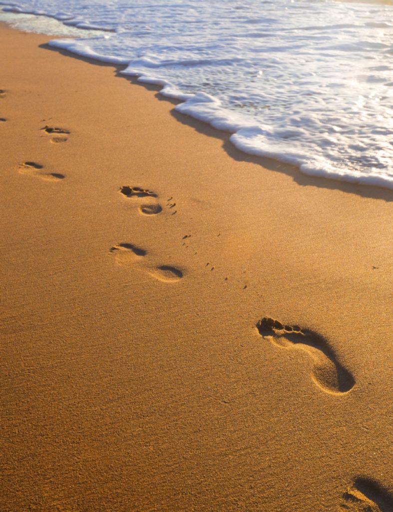 James Rogers Sellers Profile Photo