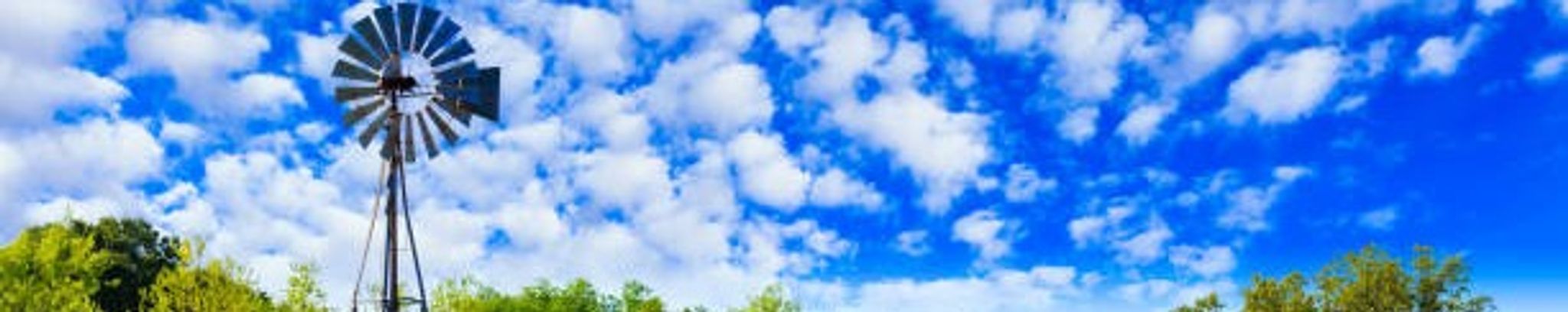 Cover for Ronda Lee Inman's Obituary