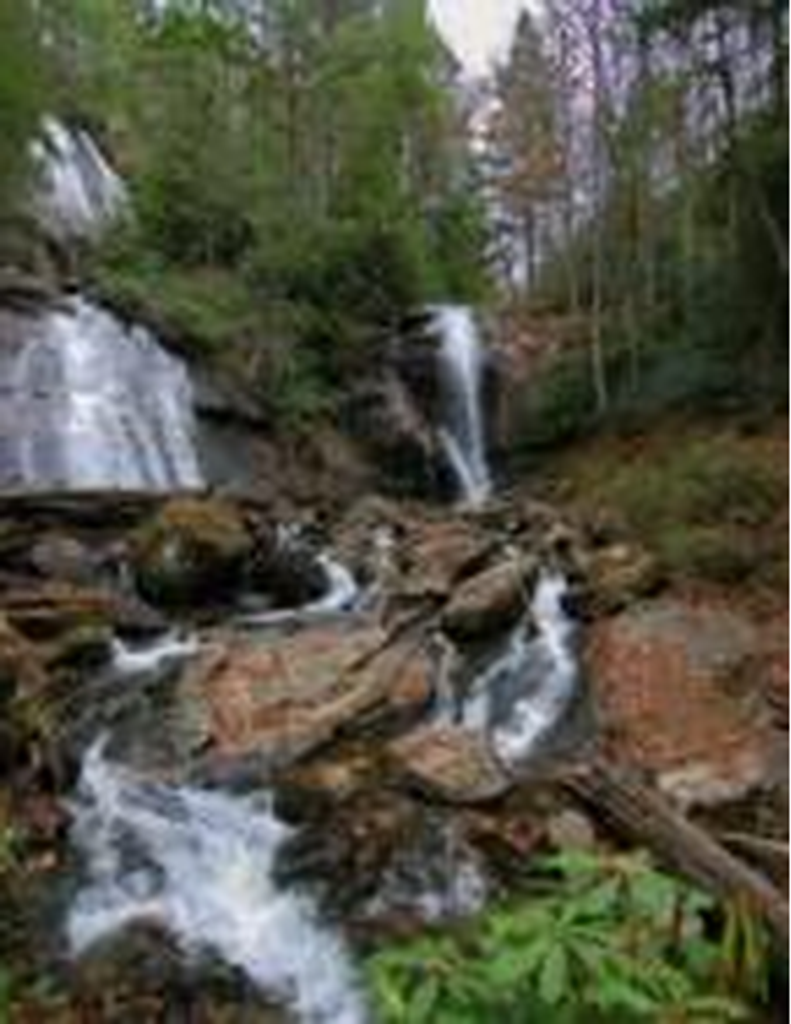 Margaret Faye Shelton Pitts