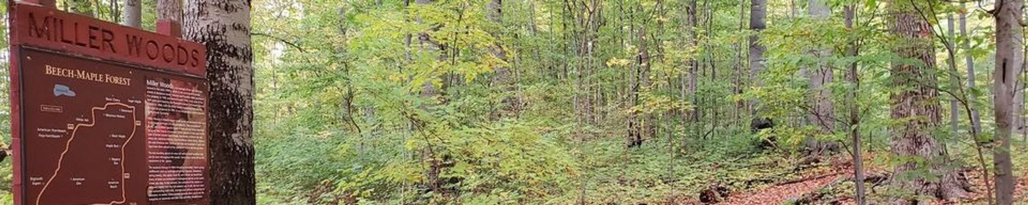 Cover photo for Joyce L. Holmes's Obituary
