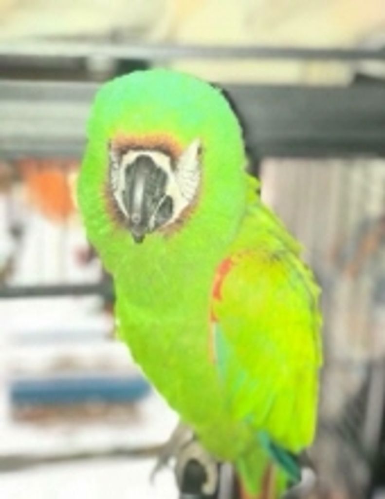 Skeeter Black Profile Photo