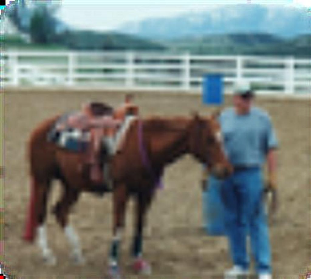 Edward Paul Schug Profile Photo