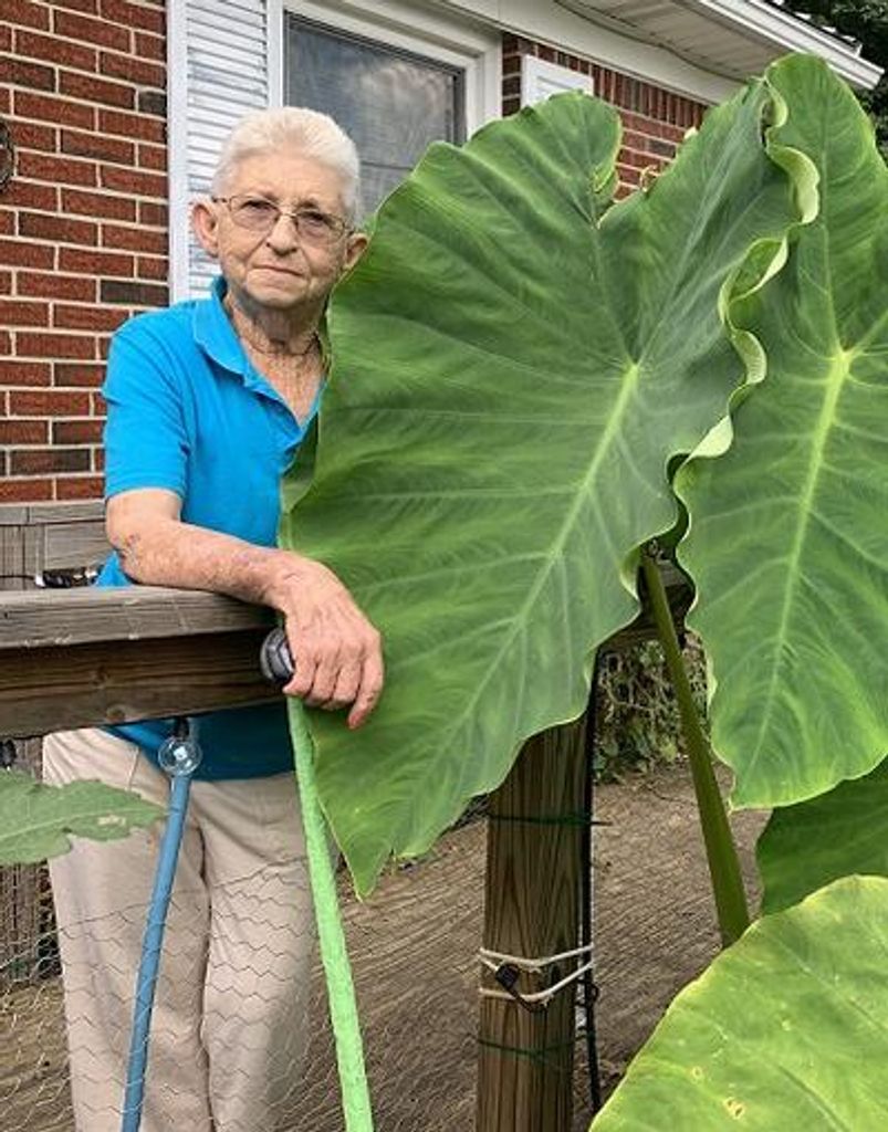 Edith Murphy Profile Photo