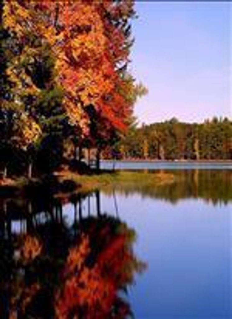 Brooks Ann Cloninger