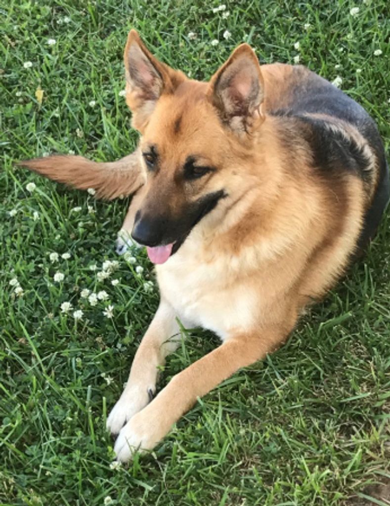 Ruby Blue Profile Photo