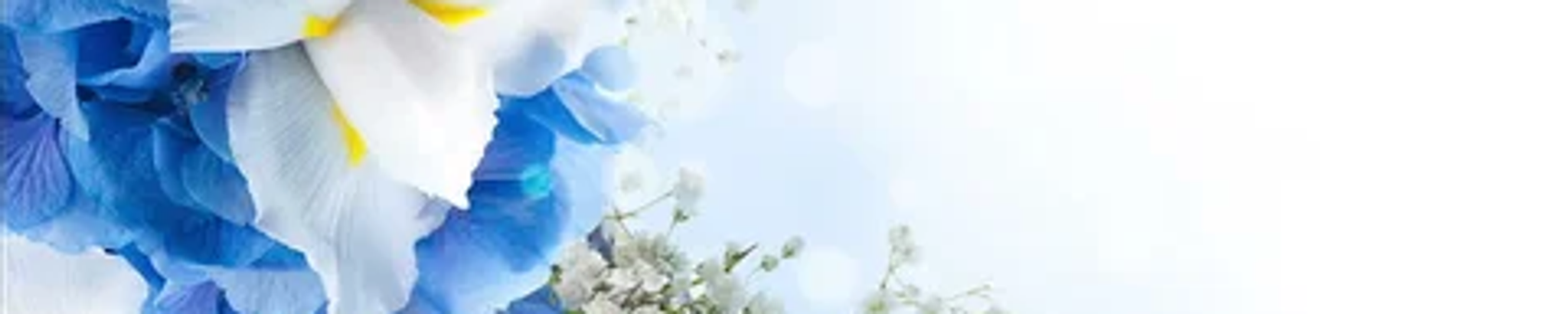 Cover for Julia Jeanette Caldwell's Obituary