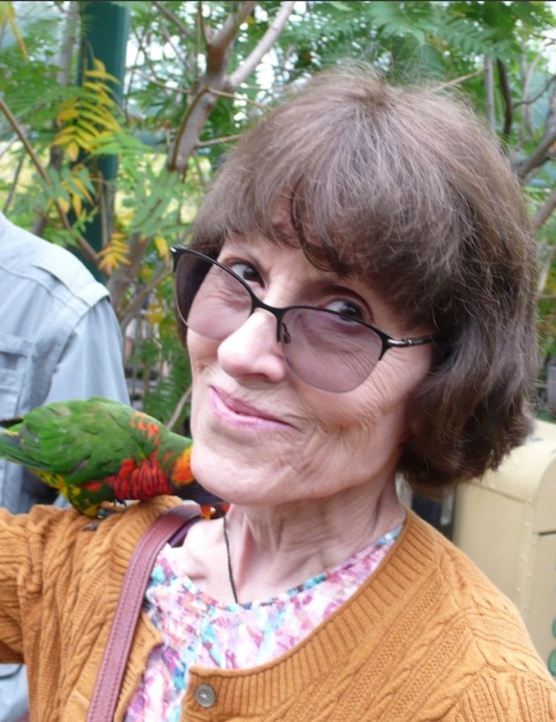 Colleen Sue Harvey Profile Photo