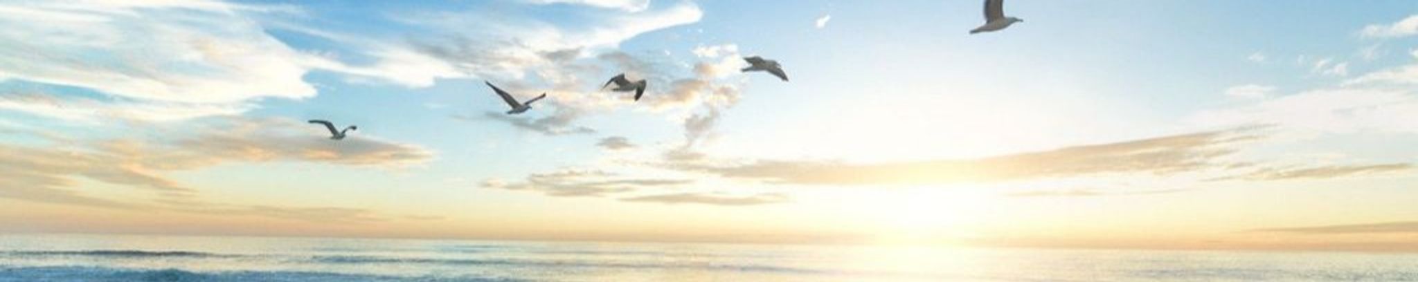 Cover photo for Mildred Nix's Obituary