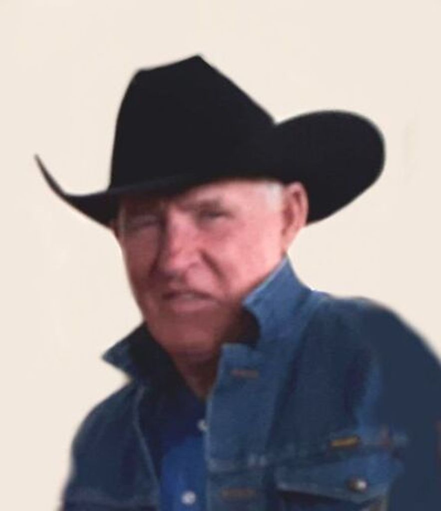Tim Alan Thompson Profile Photo