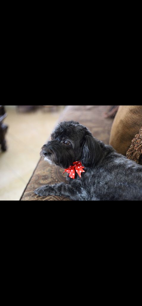 Bentley Luke Profile Photo