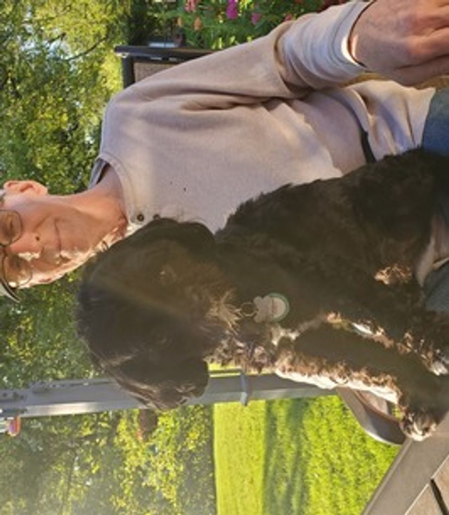 David Fosse Profile Photo