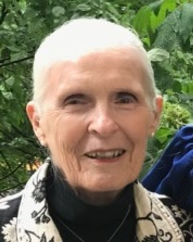 Barbara Ann Meschino