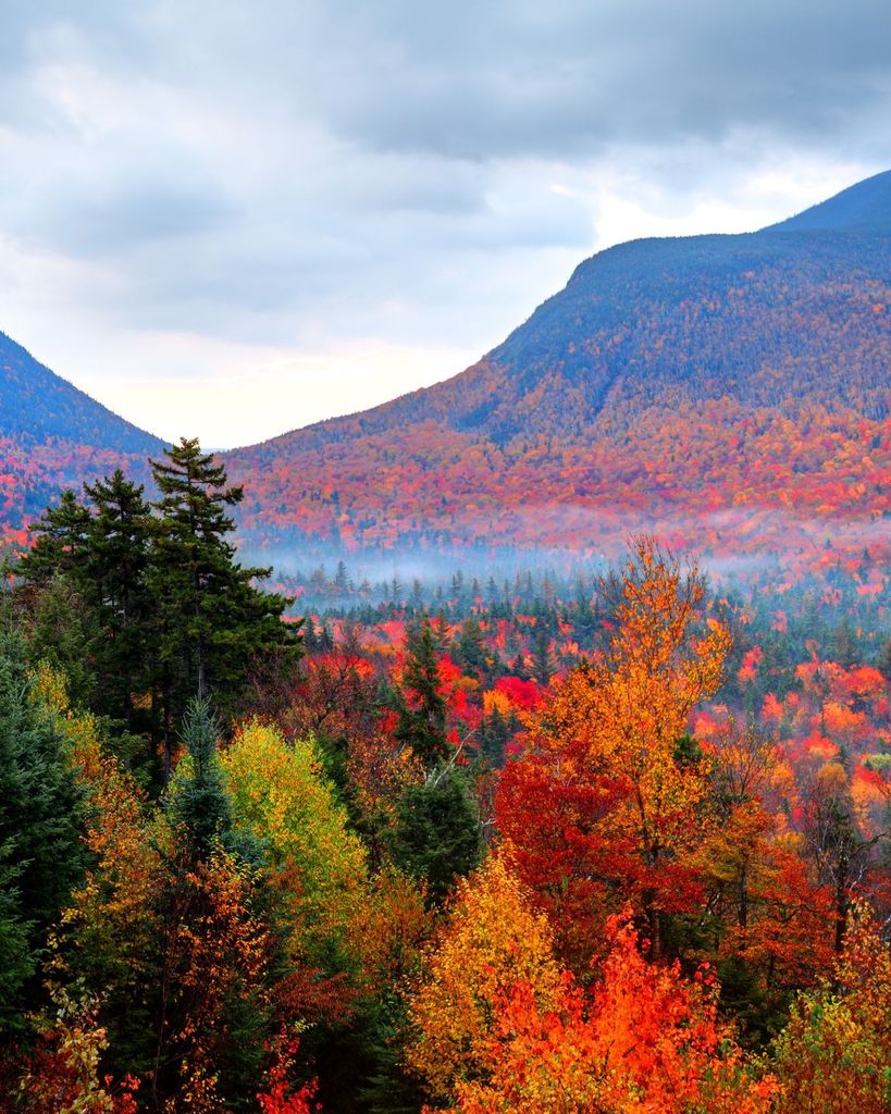 Matthew Ralls Jennings Profile Photo