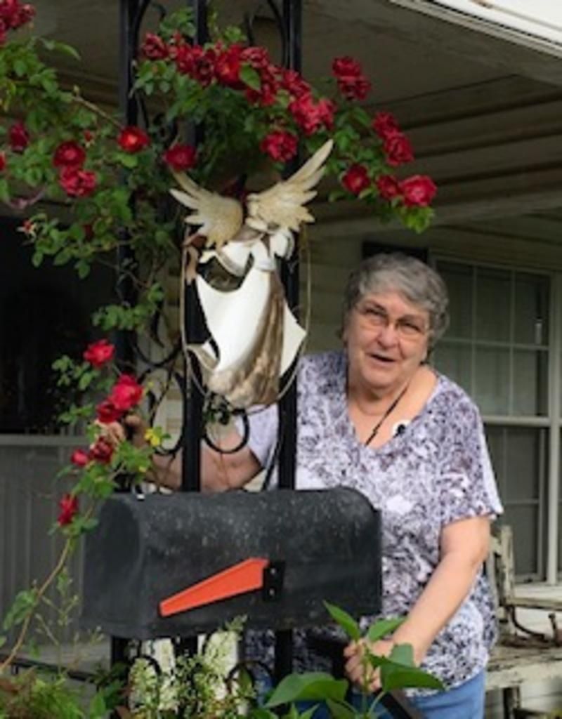 Lois Ross Profile Photo