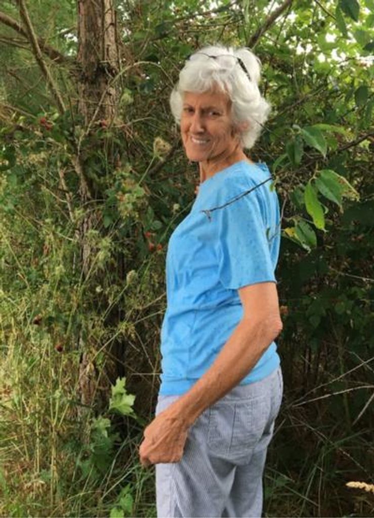 Judy Westbrook Harrop Profile Photo