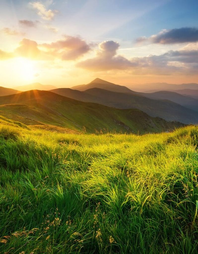 Thomas Richard Burlingame Profile Photo