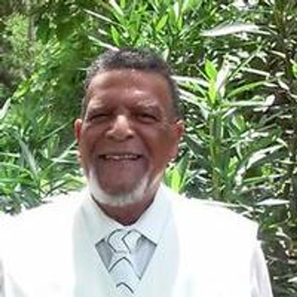 Raphel Palmer