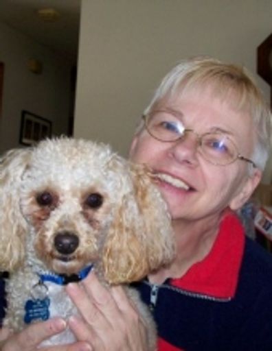 Andrea Macaluso Profile Photo