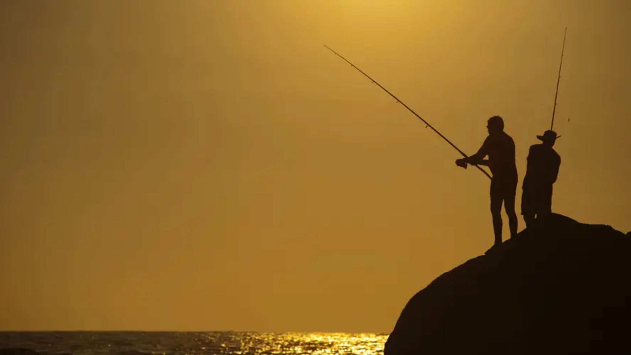 Cover for Dr. William D. Hammer's Obituary