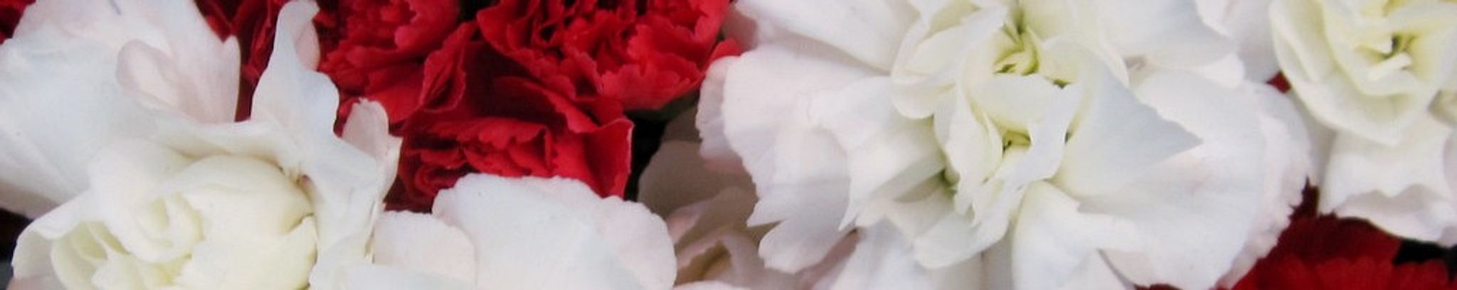 Cover photo for Myrtie J. Krueger's Obituary