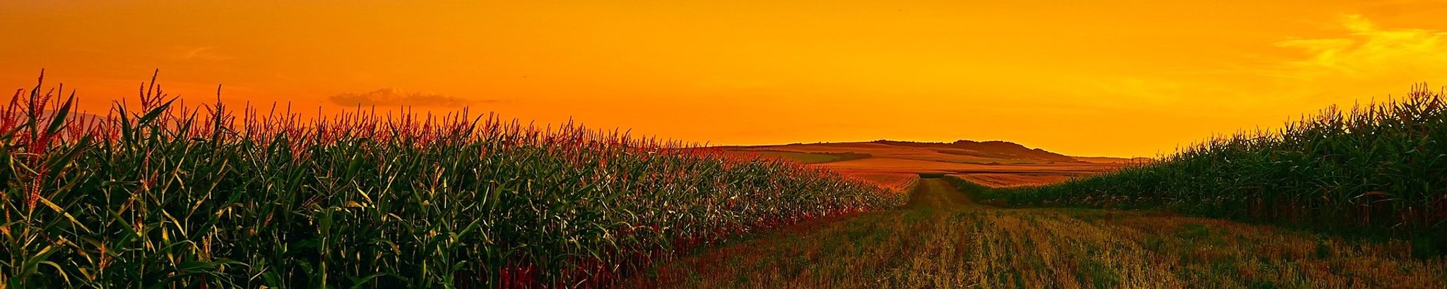 Cover photo for Samuel "Sam" Joseph Bakken's Obituary