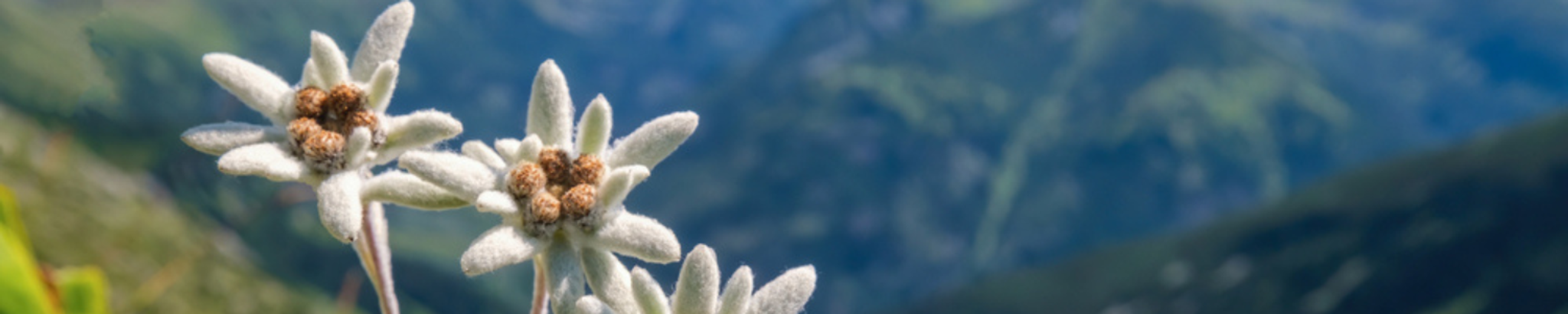 Cover photo for Ruth Bark Miller's Obituary