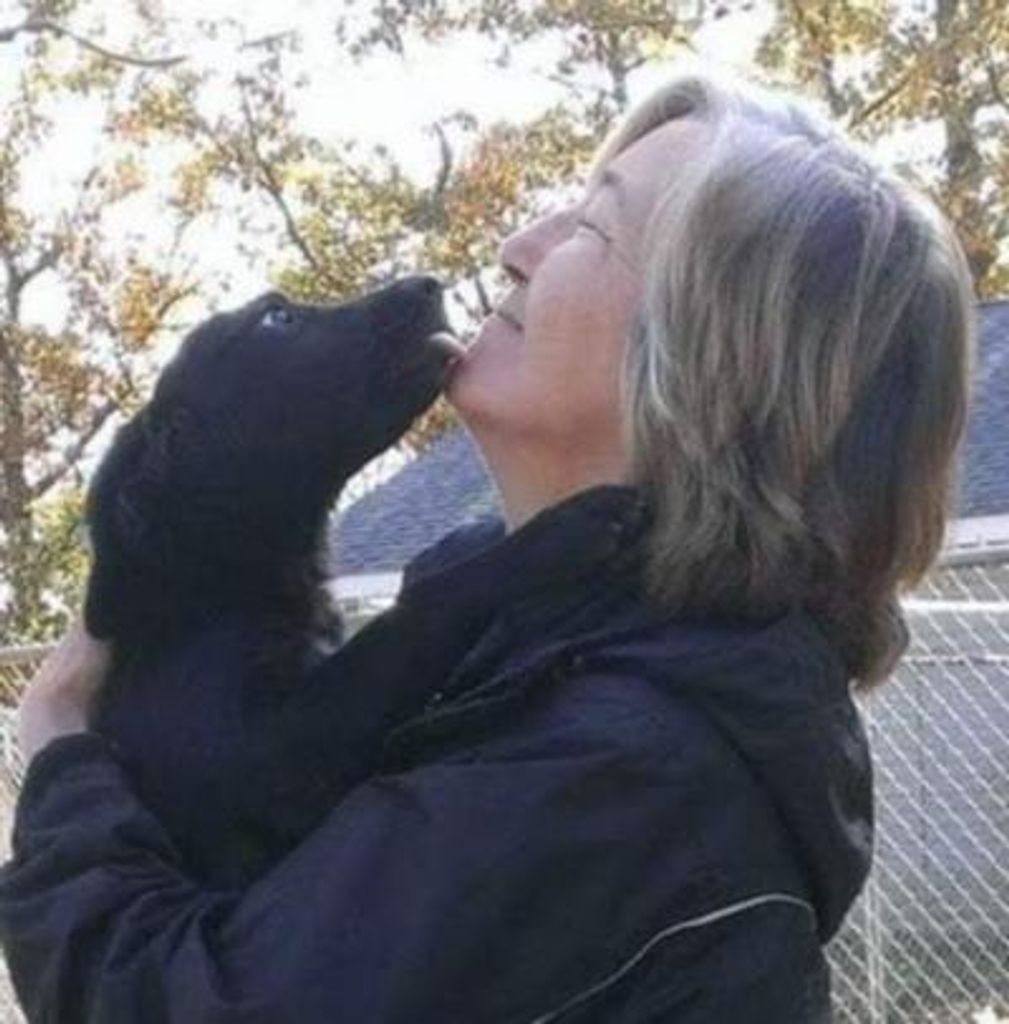 Deborah Lee Gaul Profile Photo