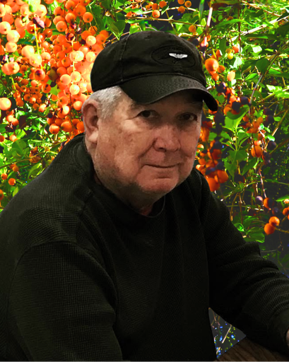 Marvin Henry Witte's obituary image